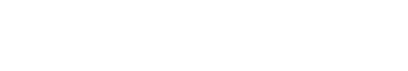 ThermoTurb Logo